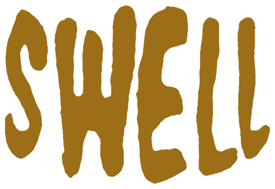 swell search tours